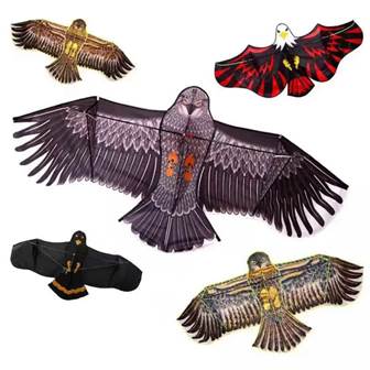 Cerf volant Aigle  - Photo 4